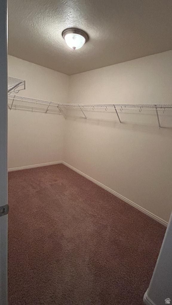 4628 N Long Way, Eagle Mountain, UT 84005 - walk in closet with carpet flooring