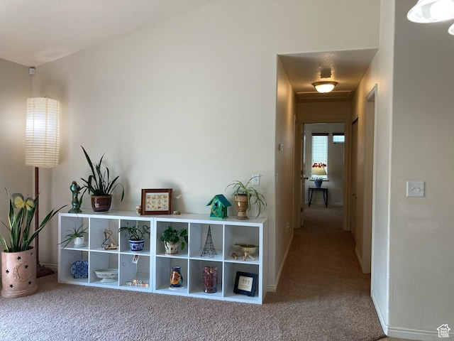 4628 N Long Way, Eagle Mountain, UT 84005 - corridor featuring carpet flooring and baseboards