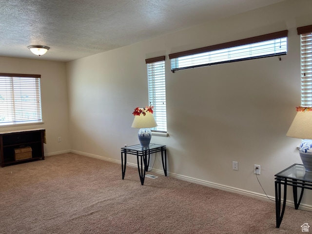 4628 N Long Way, Eagle Mountain, UT 84005 - interior space with a textured ceiling, plenty of natural light, and baseboards