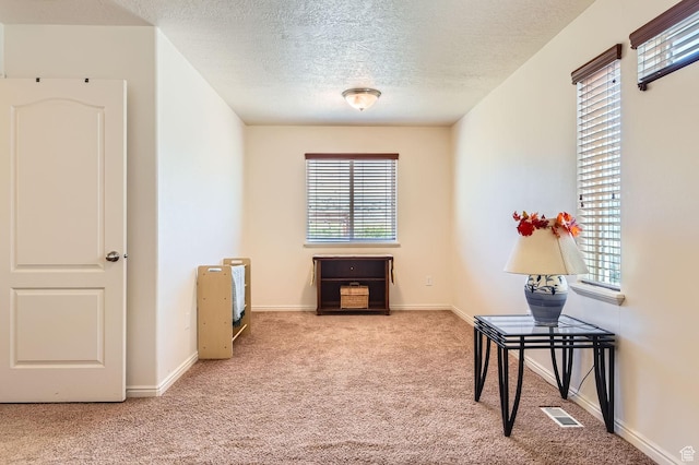 4628 N Long Way, Eagle Mountain, UT 84005 - hall featuring carpet, plenty of natural light, a textured ceiling, and baseboards