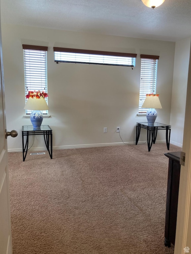 4628 N Long Way, Eagle Mountain, UT 84005 - empty room featuring plenty of natural light, carpet floors, and baseboards