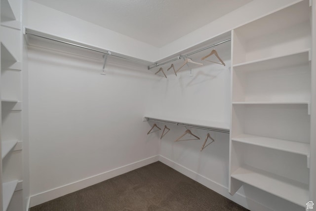 2185 W Crestview Dr, Lehi, UT 84043 - walk in closet with dark colored carpet