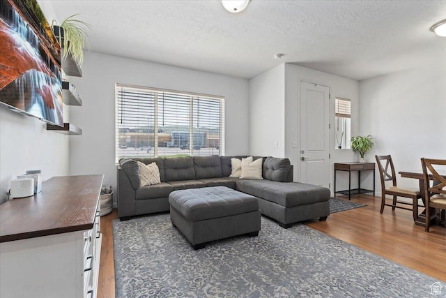 1252 W Cinch Way S, Bluffdale, UT 84065 - living area with wood finished floors and a textured ceiling