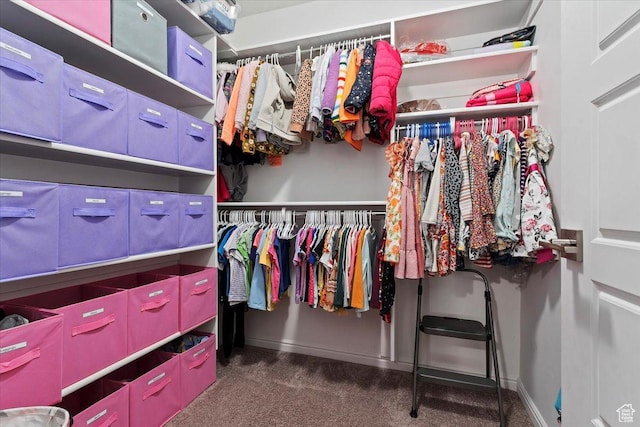 1252 W Cinch Way S, Bluffdale, UT 84065 - walk in closet with carpet flooring
