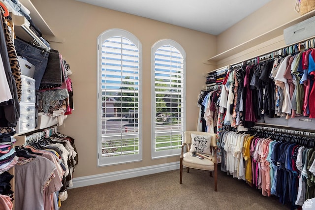 8149 S 2425 E, South Weber, UT 84405 - walk in closet with carpet floors