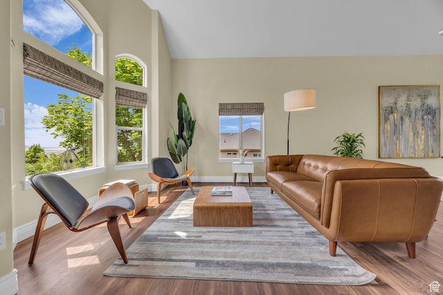 673 S Parkway Dr, North Salt Lake, UT 84054 - living room featuring wood finished floors, high vaulted ceiling, and baseboards