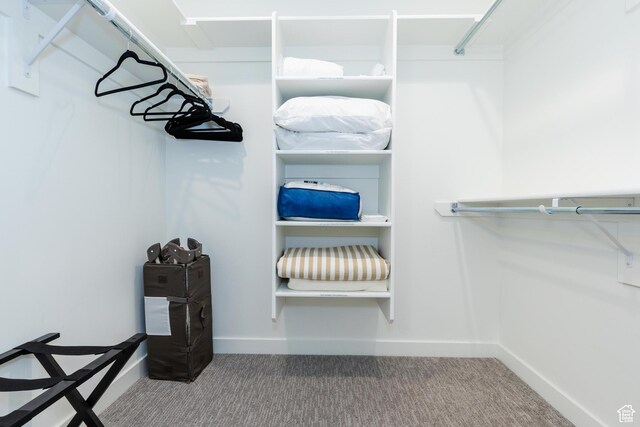 356 W Oregon Trail Dr Unit 100, Garden City, UT 84028 - walk in closet featuring carpet