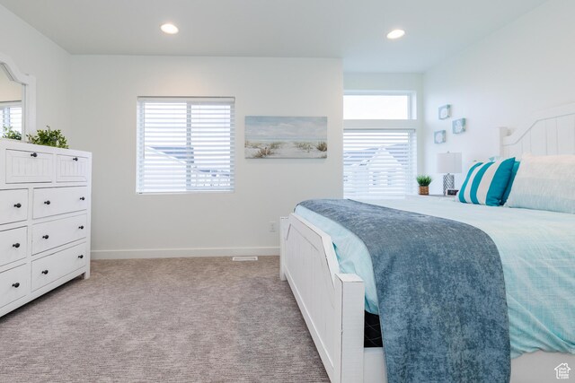 356 W Oregon Trail Dr Unit 100, Garden City, UT 84028 - carpeted bedroom with baseboards, multiple windows, and recessed lighting