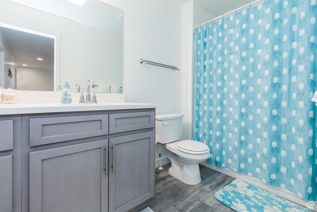 356 W Oregon Trail Dr Unit 100, Garden City, UT 84028 - bathroom with wood finished floors, vanity, toilet, and a shower with shower curtain