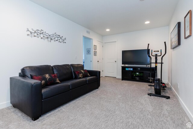 356 W Oregon Trail Dr Unit 100, Garden City, UT 84028 - carpeted living area with baseboards and recessed lighting