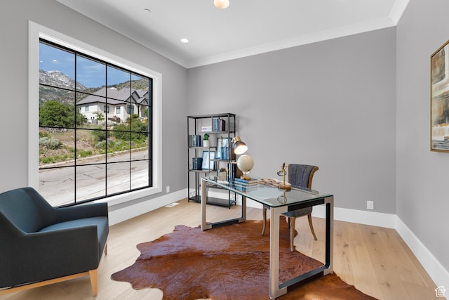 3851 W Box Elder Cir, Alpine, UT 84004 - office space featuring crown molding, wood finished floors, baseboards, and recessed lighting