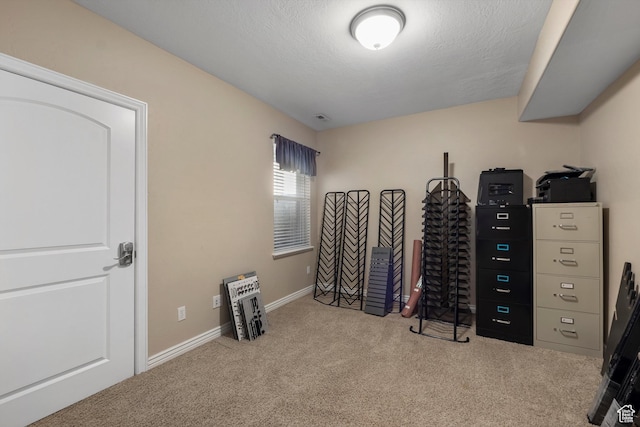 1754 E Cedar Trails Way, Eagle Mountain, UT 84005 - miscellaneous room with carpet floors, baseboards, and a textured ceiling