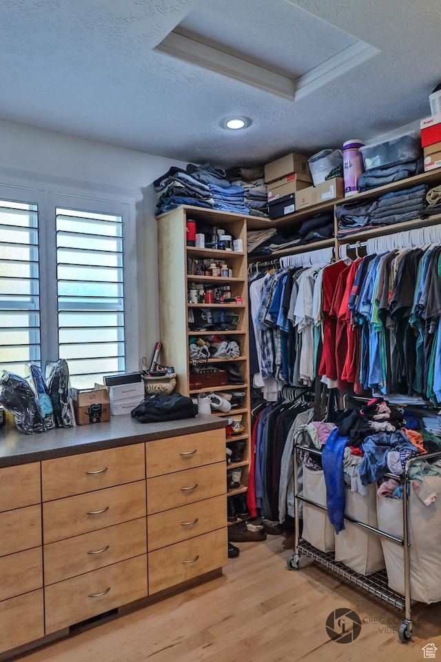 692 E 5020 N, Enoch, UT 84721 - walk in closet featuring light wood finished floors