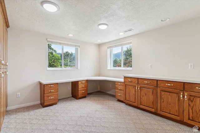 497 E 3525 N, North Ogden, UT 84414 - unfurnished office with a textured ceiling, light colored carpet, baseboards, recessed lighting, and built in desk