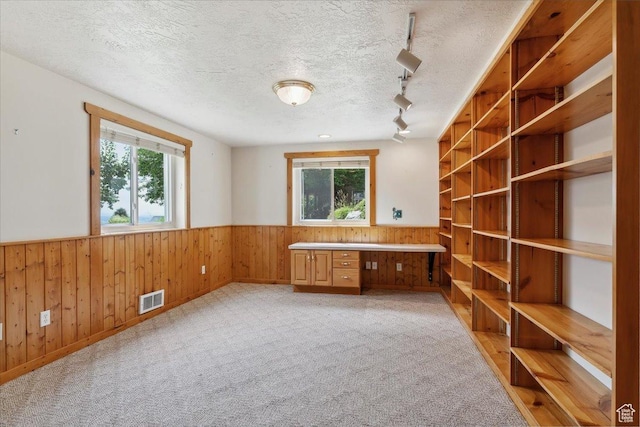 497 E 3525 N, North Ogden, UT 84414 - unfurnished office featuring a wainscoted wall, wooden walls, rail lighting, a textured ceiling, and built in desk