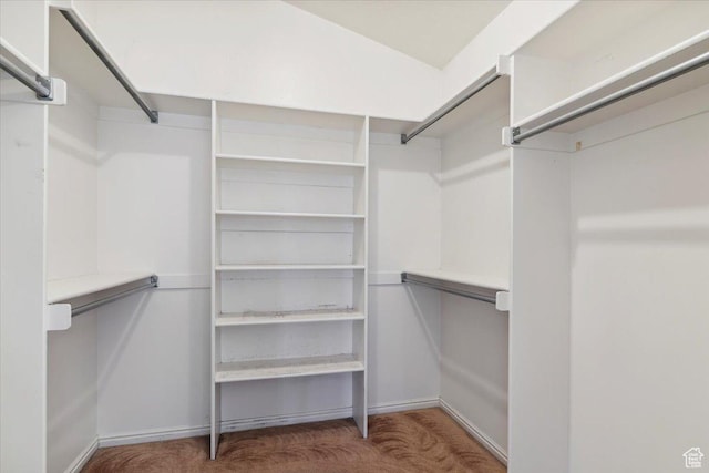 497 E 3525 N, North Ogden, UT 84414 - spacious closet with carpet flooring