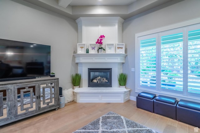 2573 S 3160 E, St George, UT 84790 - living area featuring wood finished floors and a glass covered fireplace