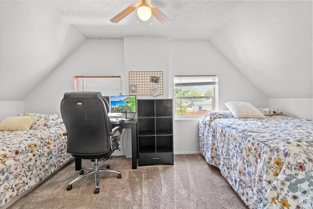 125 W 300 S, Ephraim, UT 84627 - carpeted bedroom with lofted ceiling, a ceiling fan, a textured ceiling, and baseboards