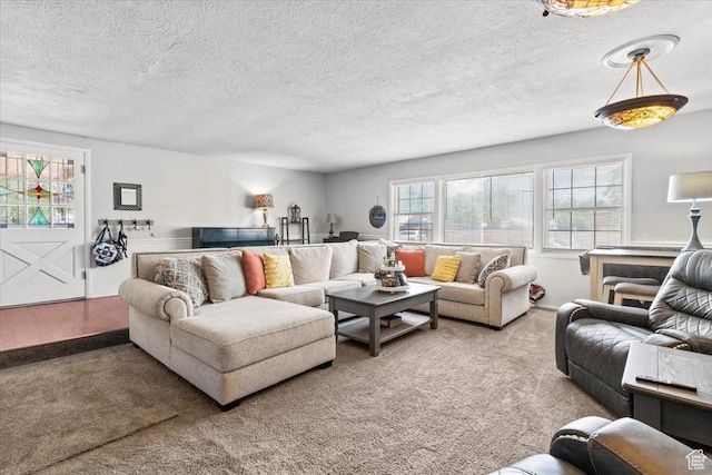 125 W 300 S, Ephraim, UT 84627 - carpeted living area with healthy amount of natural light and a textured ceiling