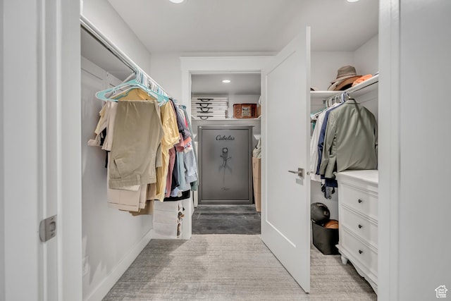 207 S Summer Breeze Ln, Layton, UT 84041 - view of spacious closet