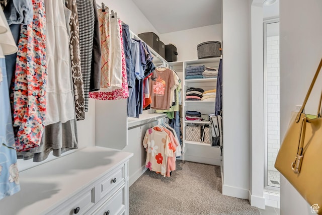 207 S Summer Breeze Ln, Layton, UT 84041 - walk in closet with light colored carpet