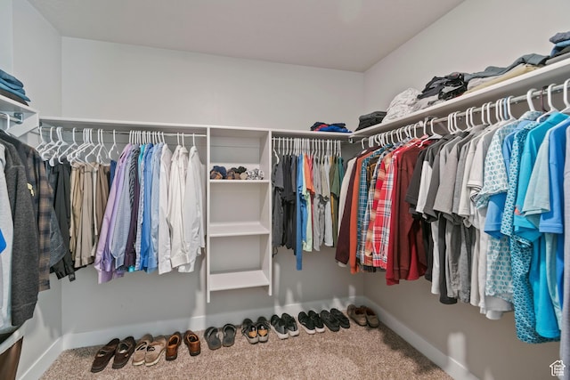 4827 N Sage Dr, Eagle Mountain, UT 84005 - spacious closet with carpet