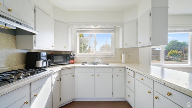 143 E 100 N, Gunnison, UT 84634 - kitchen with black microwave, under cabinet range hood, a sink, backsplash, and stainless steel gas cooktop