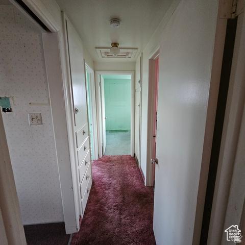 385 E 300 N, Spanish Fork, UT 84660 - hall with carpet and wallpapered walls