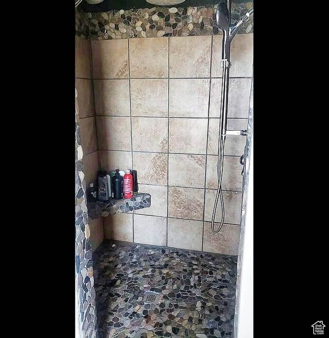 1559 S 2950 W, Vernal, UT 84078 - full bath with a tile shower