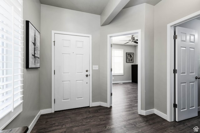 7709 N Seabiscuit Rd, Eagle Mountain, UT 84005 - foyer entrance with dark wood-style flooring, baseboards, and a ceiling fan