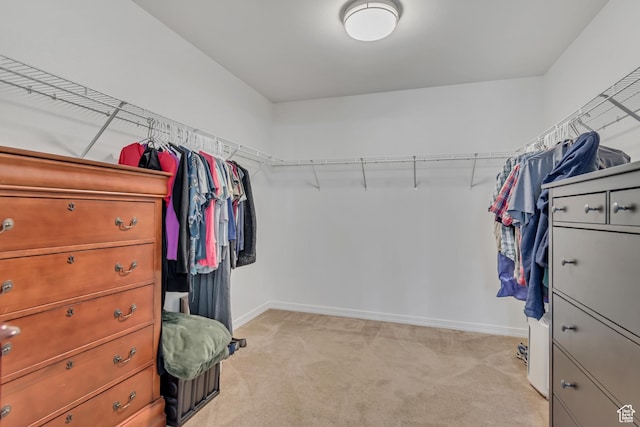 856 S 1580 W, Lehi, UT 84043 - walk in closet featuring light carpet