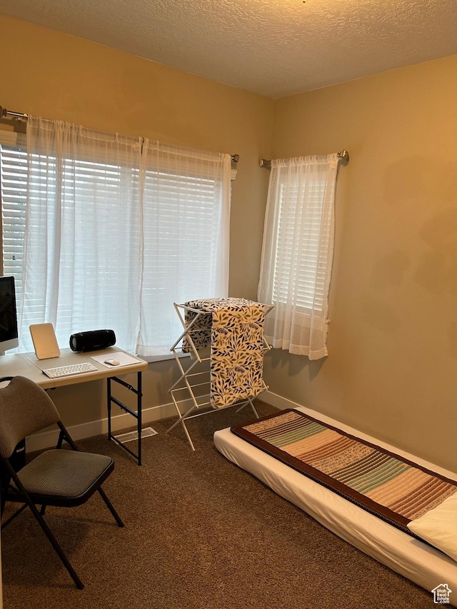 9681 S Zakro Ln, South Jordan, UT 84095 - carpeted office with baseboards and a textured ceiling