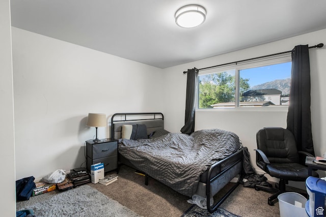 480 S 1160 W, Orem, UT 84058 - view of carpeted bedroom
