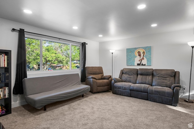 480 S 1160 W, Orem, UT 84058 - living area featuring carpet flooring and recessed lighting