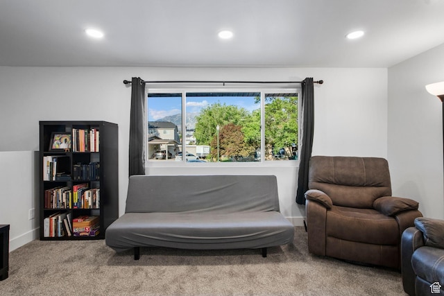 480 S 1160 W, Orem, UT 84058 - living area featuring carpet floors and recessed lighting