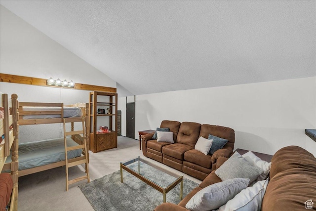 407 S Vasels Rd Unit 27, Brian Head, UT 84719 - bedroom featuring carpet flooring, a textured ceiling, and vaulted ceiling