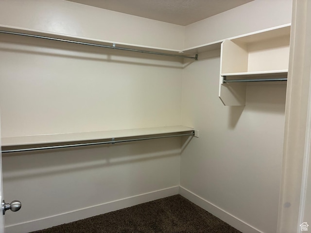 1045 S 1700 W Unit 912, Payson, UT 84651 - spacious closet featuring dark carpet