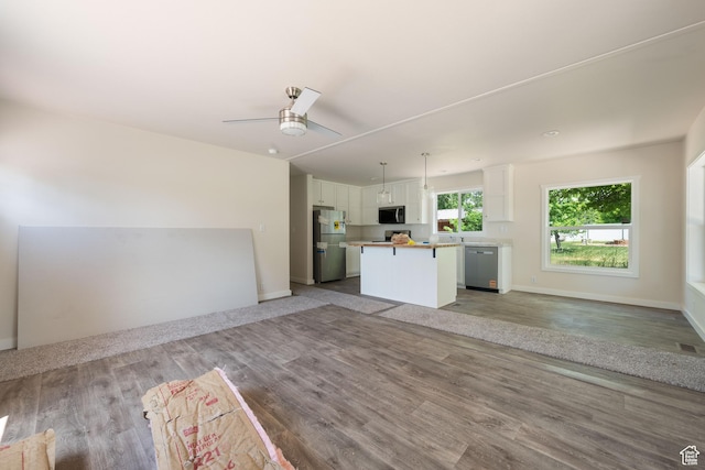 30 N 100 W, Parowan, UT 84761 - unfurnished living room with wood finished floors, ceiling fan, and baseboards