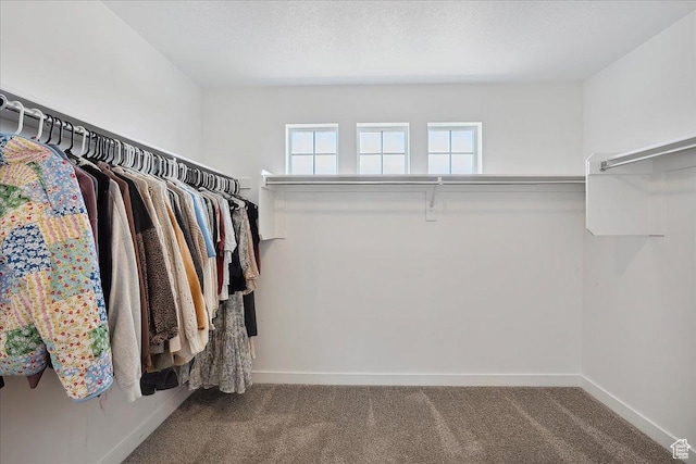 3278 S Boots Way, Syracuse, UT 84075 - walk in closet featuring carpet