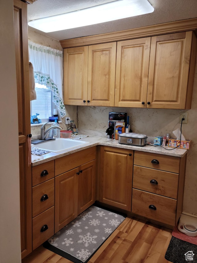83 E Miners St, Ophir, UT 84071 - kitchen featuring a sink, light wood-style flooring, and light countertops