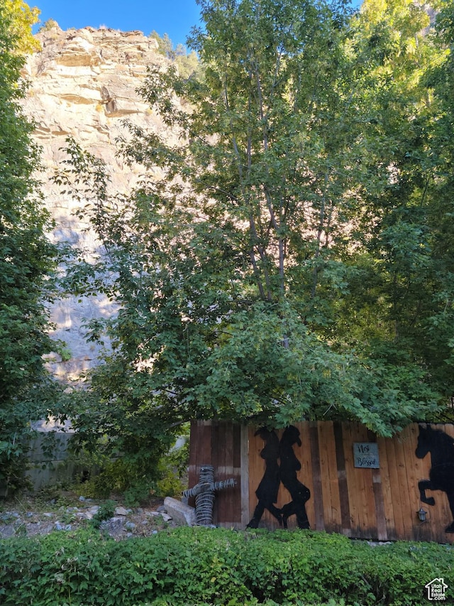 83 E Miners St, Ophir, UT 84071 - view of yard