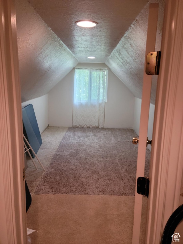 83 E Miners St, Ophir, UT 84071 - bonus room with carpet flooring, a textured ceiling, and lofted ceiling