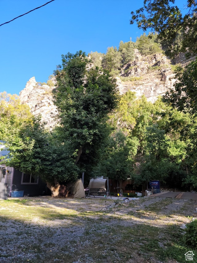 83 E Miners St, Ophir, UT 84071 - view of yard