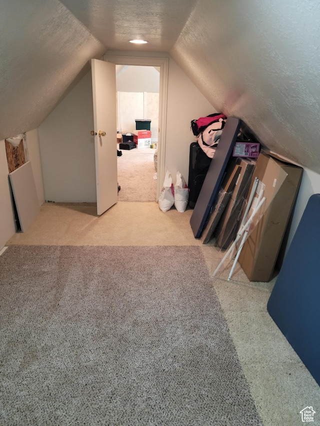 83 E Miners St, Ophir, UT 84071 - additional living space with lofted ceiling, a textured ceiling, and carpet floors
