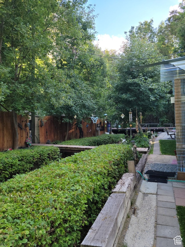 83 E Miners St, Ophir, UT 84071 - view of yard