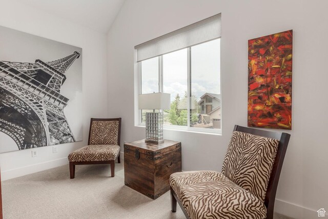 1480 W Alpine Ave, Heber City, UT 84032 - photo 46