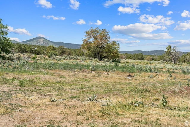 11 E 200th St N, Cedar Fort, UT 84013 - photo 42