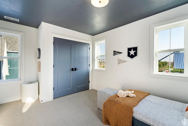 11214 S Easy Bee Rd, South Jordan, UT 84009 - bedroom with multiple windows, carpet floors, and baseboards