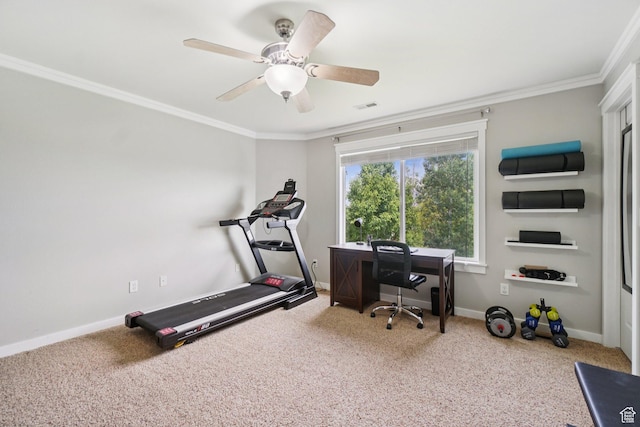 469 S Olive Way, Lehi, UT 84043 - workout area with crown molding, carpet, baseboards, and a ceiling fan