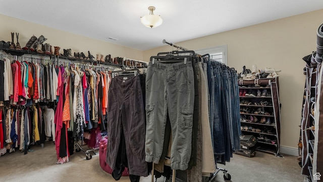 336 S 1400 W, Farmington, UT 84025 - walk in closet with carpet